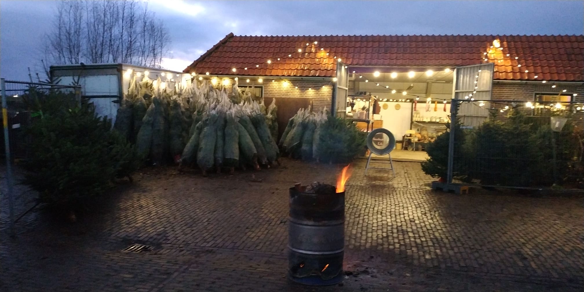 Kerstboom 2